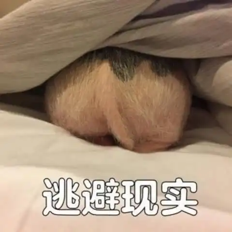 猪被打表情包仓鼠