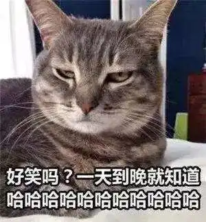  表情包沙雕搞怪表情包