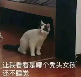  没有我进不去的派出所每日轻松一刻5月10日晚间版