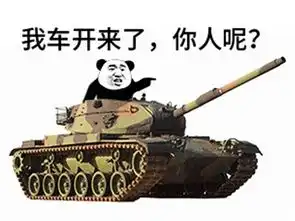  乔碧罗殿下和坦克有啥关系连线女主播怎么成斗鱼第一反坦克大师