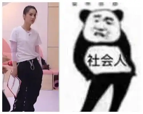  乘风破浪姐姐们的表情包爆火网络,黄圣依我哭了,我装的