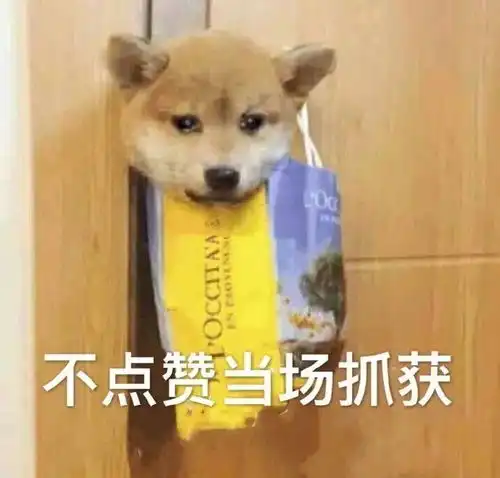  word还能这样用8个word神操作等你get