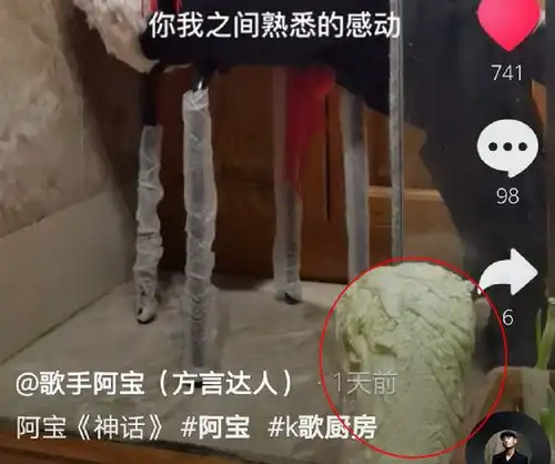  阿宝疑穿成名战袍小厨房开唱,袖子有破洞舍不得扔,今昔对比心酸