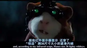 豚鼠特工队表情包神风