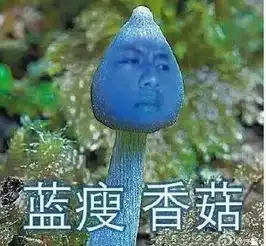  蓝瘦香菇出处网友刚开始以为是吃的终于找到出处
