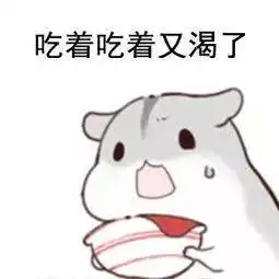 小仓鼠表情包图片大全小