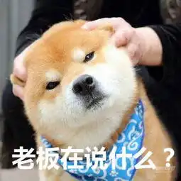  任性的老板自驾游的时候想吃火锅怎么办这些带车外放电的车可以帮你