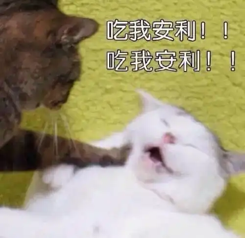  用科幻迷的眼睛看世界铥铥科幻电波100期了