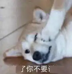  别浪下班早回家暴雨带着雷电和冰雹正在来的路上