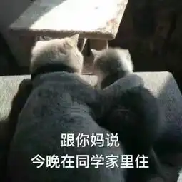  神回复怪不得我网购的游艇还没送到