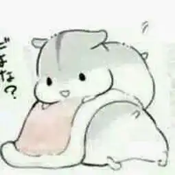  表情仓鼠抱瓜子可爱萌表情包聊堆糖,美好生活研究所