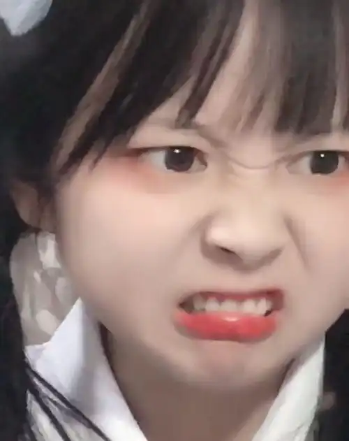  二收藏夹