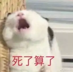  飞雯女孩今天哭的好大声陈珂又又又加戏拖后腿