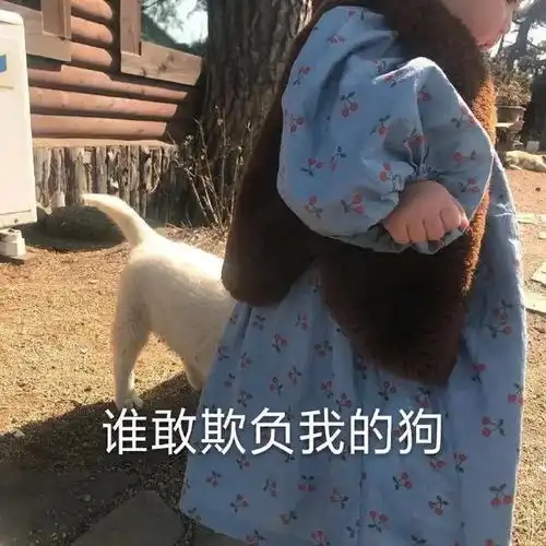  表情包我低头,我认怂