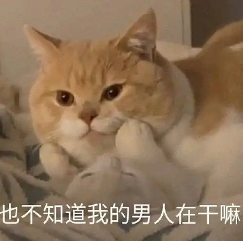  可爱沙雕表情包对不起,您所拨打的耳朵已停机