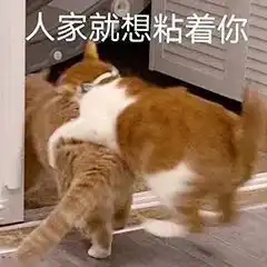 加菲猫表情包小视频沙雕