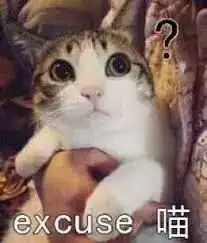  我妈,一个东北小老太太的日常