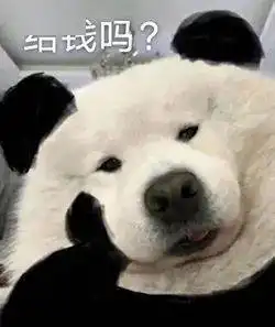 狗托表情包养狗