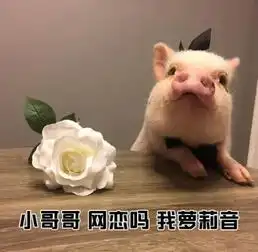  小哥哥一起打游戏嘛我98k消音