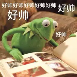 科米蛙gif表情包片 科米蛙gif表情包片