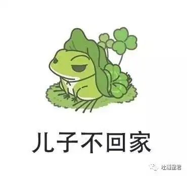  我的游戏人生总结哈哈哈哈哈哈哈哈哈是我本人了