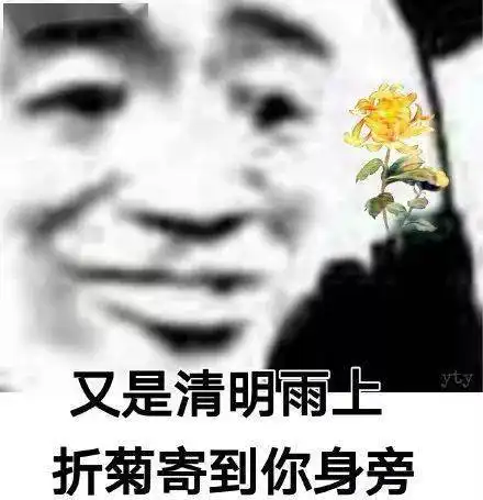  熊猫头表情包i你们都不用喂猪吗