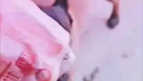  沙雕狗子表情包完