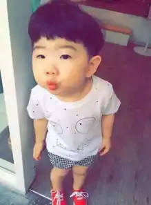  请问这个微信表情锅盖头小男孩应该是韩国的叫什么求更多照片求单眼皮小嘴唇圆脸锅盖头