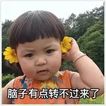 小猪喊到一系列表情包罗