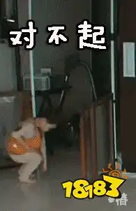  宋民国动图表情包