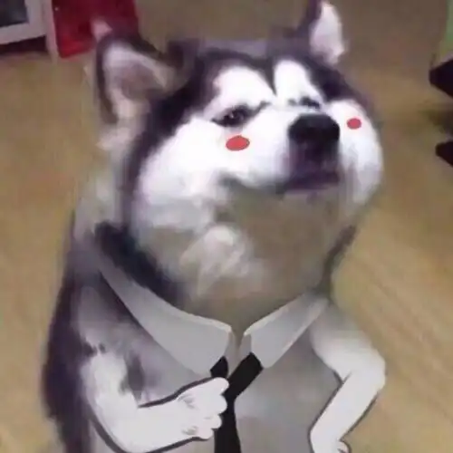  头像披着各自的骄傲互不打扰