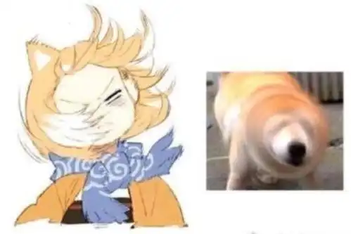  二次元柴犬表情包可爱的柴柴贱贱的柴柴,那个是你的最爱呢