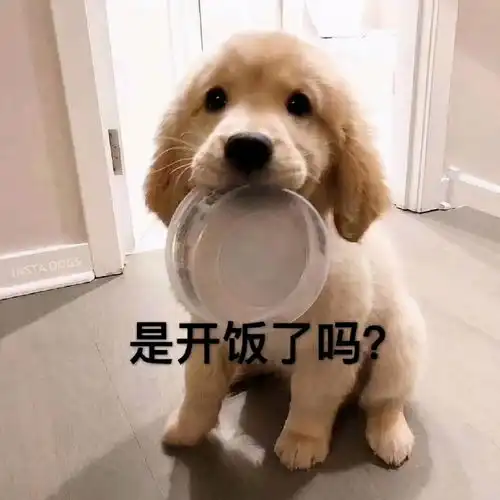  表情包想想就开心,是开饭了吗