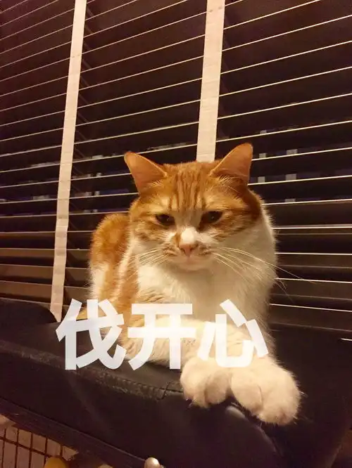 更新表情包喜欢睡阳台的猫 更新表情包喜欢睡阳台的猫