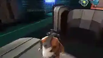 汉语豚鼠特工队