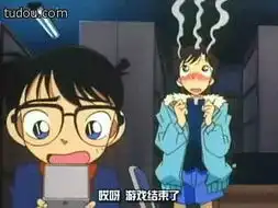  柯南中这两张图是那集出现的