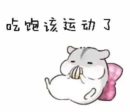  生命不息,运动不止