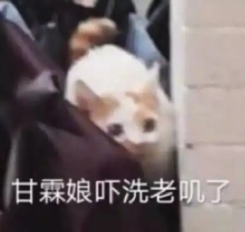  女大学生去日本把民宿住成垃圾堆,竟称因为爱国...