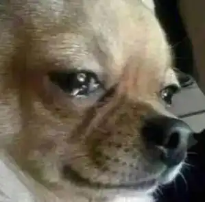  减脂人也可以吃的很精致,你还不学起来