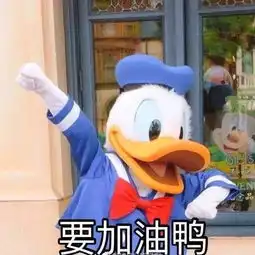 同一个世界,不同的迪士尼 同一个世界,不同的迪士尼