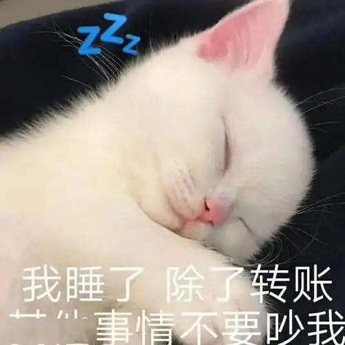  沙雕表情猫咪如花表情包二
