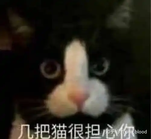  有没有几把猫的表情包