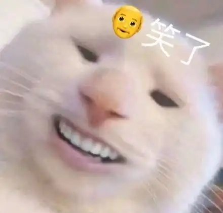  猫和老鼠表情包图片最新可爱搞笑热门