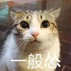  喵星人到底能有多怂