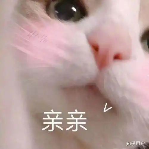  花少北有女朋友了吗