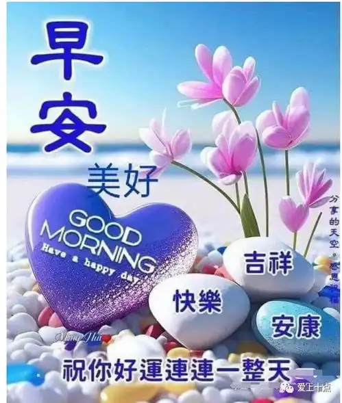  今日最新早上好表情包图片大全,常问候,常牵挂
