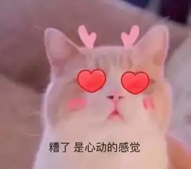  学生会部门介绍权益部