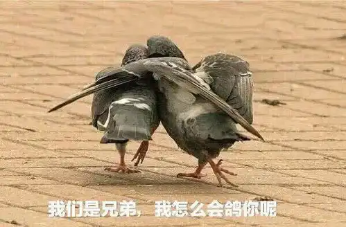  热门搞笑表情包大全