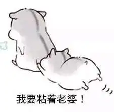  抖音哄老婆专用表情包大全听老婆的话表情包分享