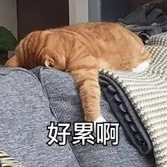  考研倒计时三十天l披星戴月的你,终将凯旋